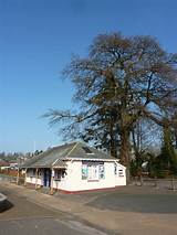 Steamer Quay Totnes Images