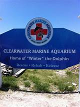 Pictures of Clearwater Marine Hospital