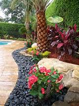 Photos of Landscaping Around Pool With Rocks