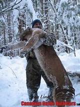 Pictures of Canadian Mule Deer Hunting Outfitters