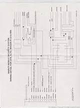 Maruti 800 Electrical Wiring Diagram Images