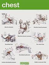 Muscle Exercises Chest Pictures