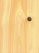 Pitch Pine Wood Images
