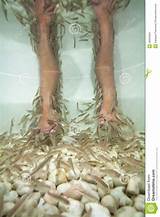Fish Spa Treatment Pictures