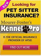 Pet Sitters International Insurance Images