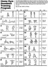 Images of Weight Training Exercises Using Dumbbells