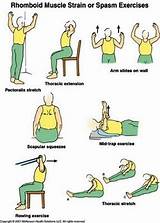 Pictures of Rhomboid Muscle Exercises
