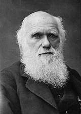 Images of Robert Charles Darwin Theory Of Evolution