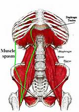 Images of Diaphragm Muscle Strengthening Exercises