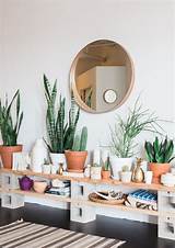 How To Decorate A Living Room With Plants Photos