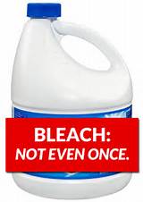 Kill Bed Bugs With Bleach