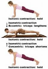 Pictures of Muscle Contraction Exercises