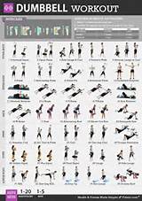 Workout Exercises With Dumbbells
