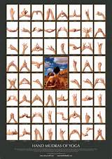 Meditation Mudras Pdf