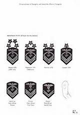 Images of Military School Ranks