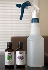 Pictures of Home Bug Spray Safe For Pregnancy