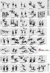 Images of About Gym Workouts