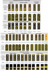 Ranks In The Army In Order