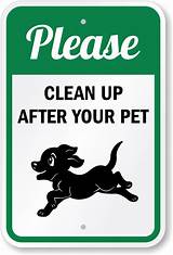 Animal Clean Up Services Photos