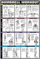 Exercise Routine Dumbbells Images