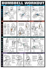 Back Muscle Exercises Using Dumbbells Images