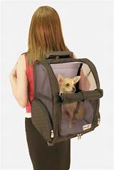 Pictures of Best Airline Approved Dog Carriers