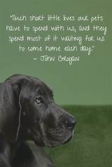 Images of Inspirational Quotes About Losing A Pet