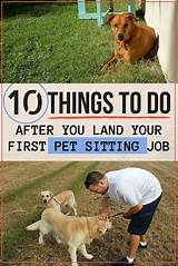Pet Sitting Salary Photos