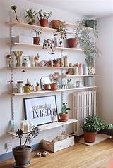 Plants On Wall Shelves Pictures