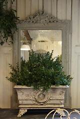 Decorating Indoors With Plants Photos