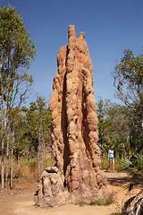 Pictures of Biggest Termite Mound