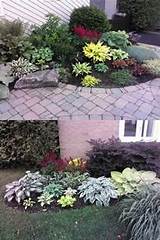 Photos of Low Maintenance Front Yard Landscaping Ideas