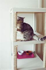 Ikea Hack Cat Furniture Photos