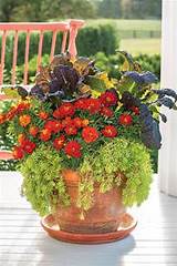 Images of Planting Fall Flowers Containers