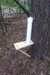 Pvc Pipe Tree Watering Images