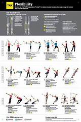 What Is Trx Exercises