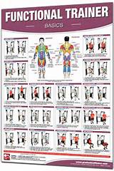 Functional Exercise Routines Images