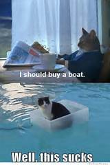 I Should Buy Boat Meme Photos