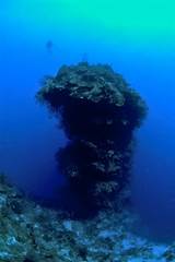 Grand Cayman Scuba Diving Packages Pictures
