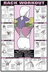 Back Muscle Exercises Pictures