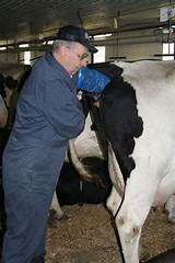 Pictures of Artificial Insemination Technician Course