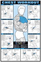 Exercise Routine Charts Images
