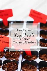 Photos of How To Get Free Seeds For Garden