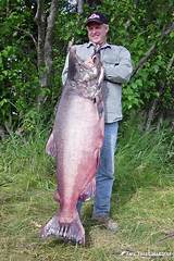 Salmon Fishing In Kenai Alaska Photos