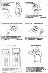 Home Exercise Programs For Physical Therapists Images