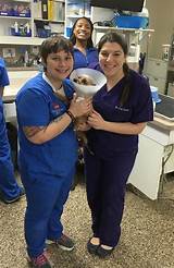 Pictures of University Animal Hospital Shreveport