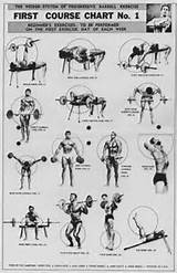Beginner Bodybuilding Training Program Images
