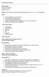 Pictures of It Consulting Resume Objective