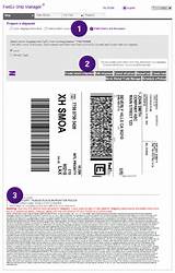 Fedex Payroll Online Pictures