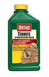 Termite Concentrate Photos